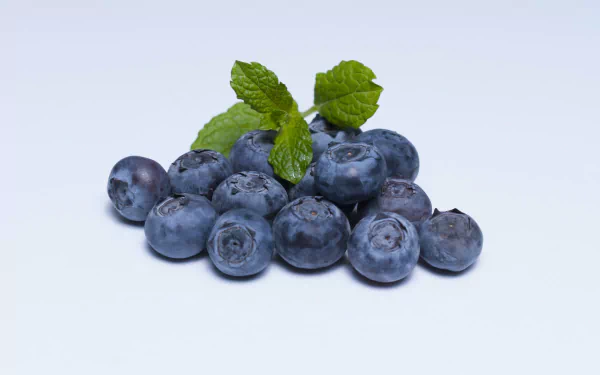  Blueberries &amp; Mint by Gabor Mika