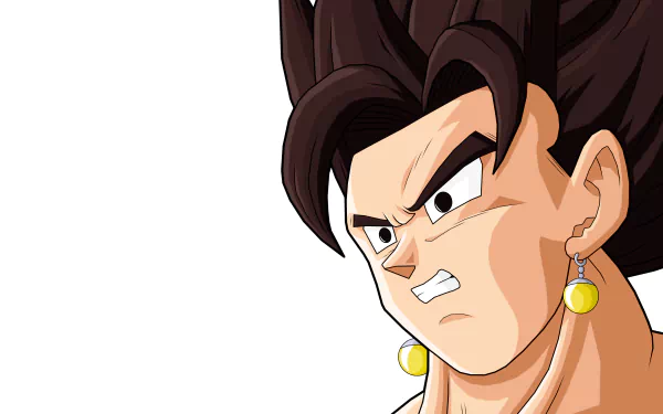 HD wallpaper featuring Vegetto from Dragon Ball Z, showcasing his intense expression and distinctive hairstyle. A vibrant addition for any anime fan's desktop background.