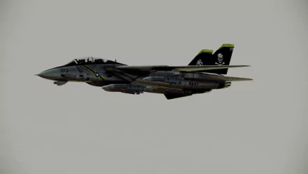 Fighter jet from the video game Ace Combat: Assault Horizon in flight against a pale sky — 2K Quad HD PC desktop wallpaper/background.