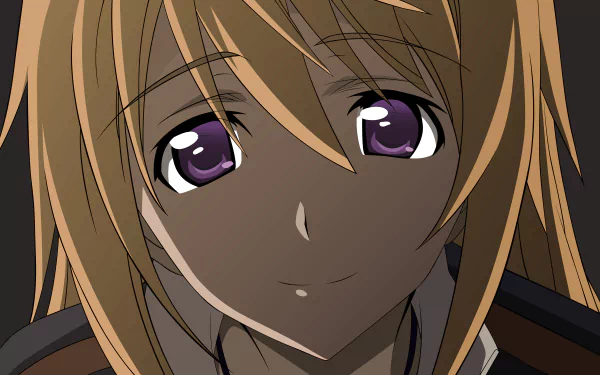 Anime Infinite Stratos HD Desktop Wallpaper | Background Image