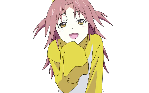 Anime Infinite Stratos HD Desktop Wallpaper | Background Image