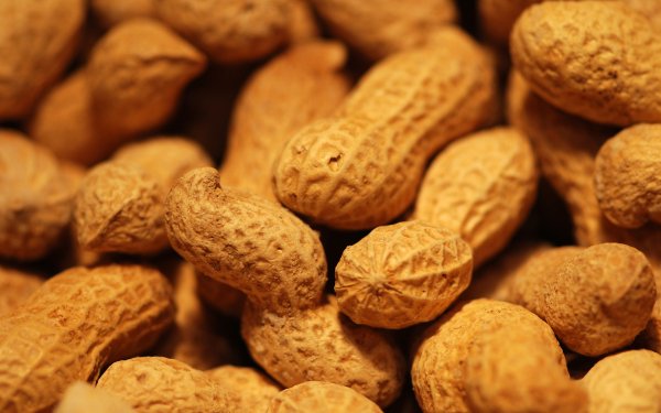 Food Peanut HD Wallpaper | Background Image