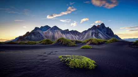 Desert landscape featuring rugged mountains under a blue sky with scattered clouds. A lush green plant contrasts against the dark sandy terrain. High-definition desktop wallpaper and background.