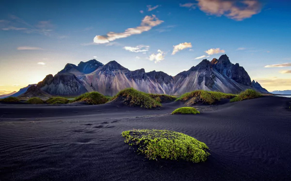 Desert landscape featuring rugged mountains under a blue sky with scattered clouds. A lush green plant contrasts against the dark sandy terrain. High-definition desktop wallpaper and background.