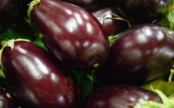 food eggplant HD Desktop Wallpaper | Background Image