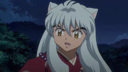 HD wallpaper featuring InuYasha, the iconic anime character, with his distinct silver hair and cat-like ears, set against a nighttime backdrop.