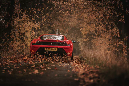 Red Ferrari F430 car driving down a leaf-covered forest road, captured in vivid detail as an HD PC desktop wallpaper and background.