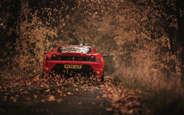 Vehicles Ferrari F430 Ferrari Car HD Wallpaper | Background Image