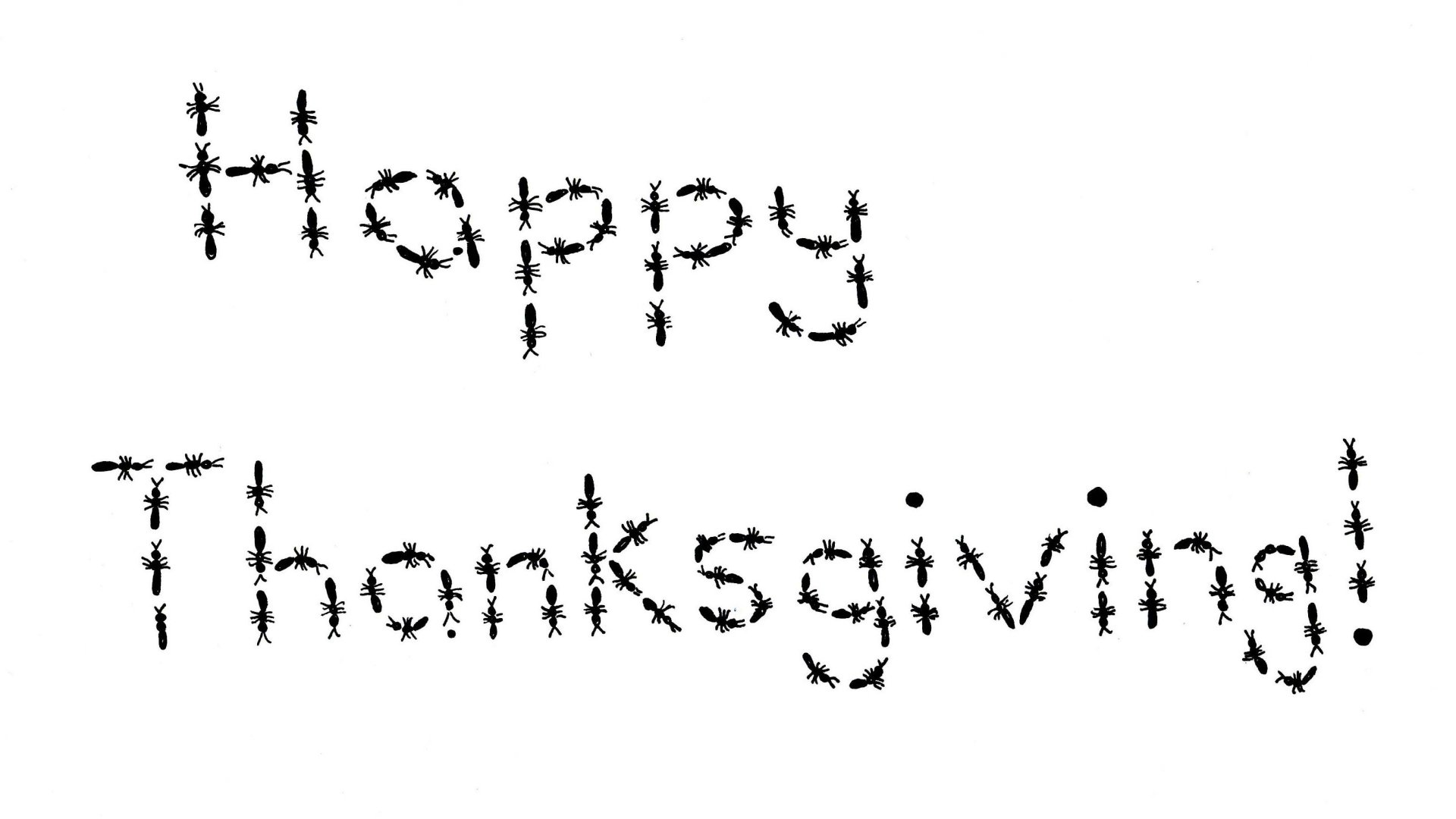 2K Quad HD PC desktop wallpaper: Happy Thanksgiving written in black letters formed from tiny leaf shapes on a white background, holiday greeting