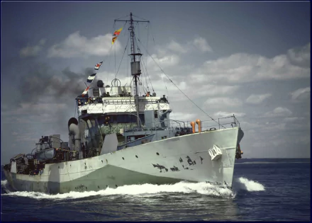  Flower-class corvette