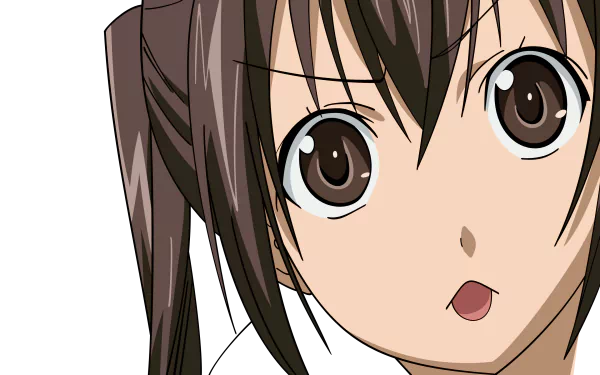 Kana Minami Anime Minami-ke HD Desktop Wallpaper | Background Image