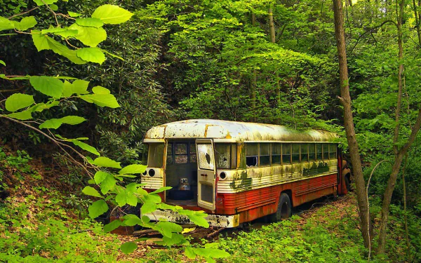vehicle bus HD Desktop Wallpaper | Background Image