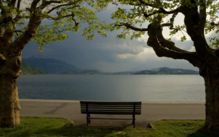 2K Quad HD PC desktop wallpaper and background — man-made bench between two trees overlooking a tranquil lake and distant mountains beneath a moody sky.