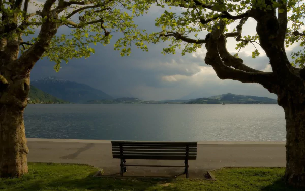 2K Quad HD PC desktop wallpaper and background — man-made bench between two trees overlooking a tranquil lake and distant mountains beneath a moody sky.