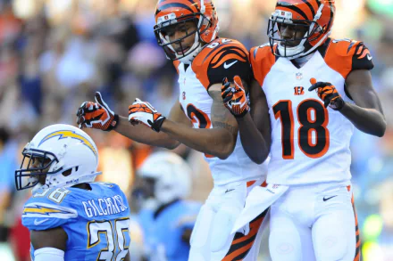 Cincinnati Bengals Sports HD Desktop Wallpaper | Background Image