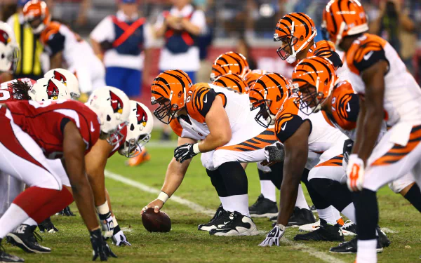 Arizona Cardinals Sports HD Desktop Wallpaper | Background Image