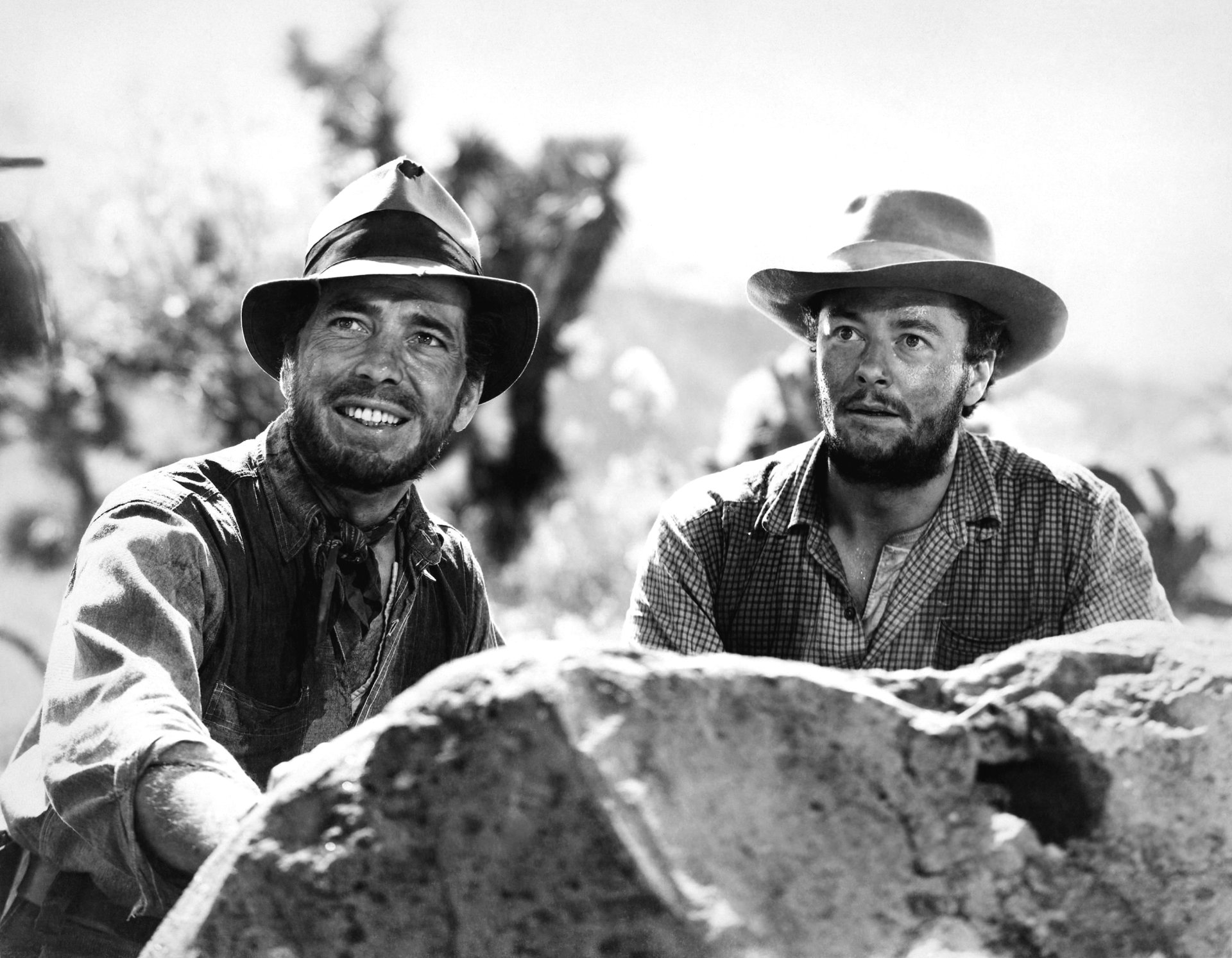 Download Movie The Treasure Of The Sierra Madre HD Wallpaper
