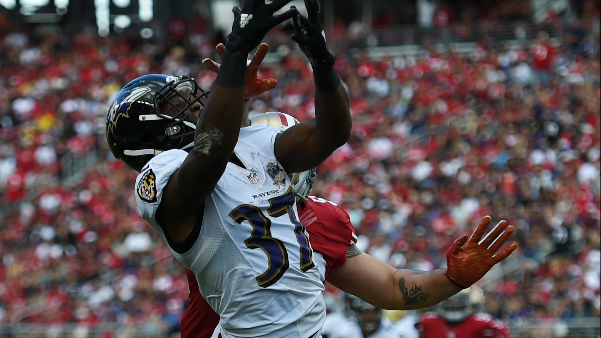 Download Baltimore Ravens Sports HD Wallpaper