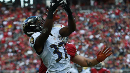 Baltimore Ravens Sports HD Desktop Wallpaper | Background Image