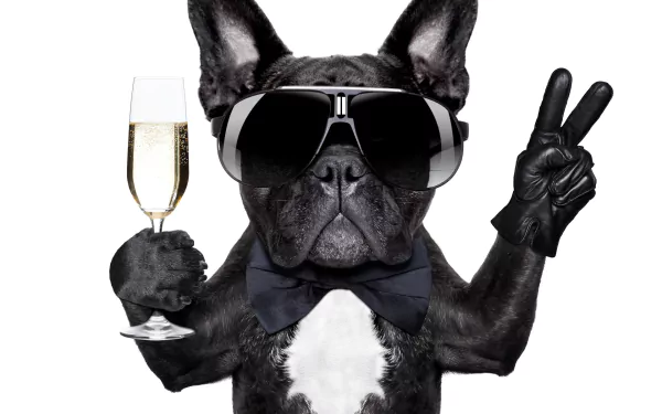 music Lenny Kravitz HD Desktop Wallpaper | Background Image