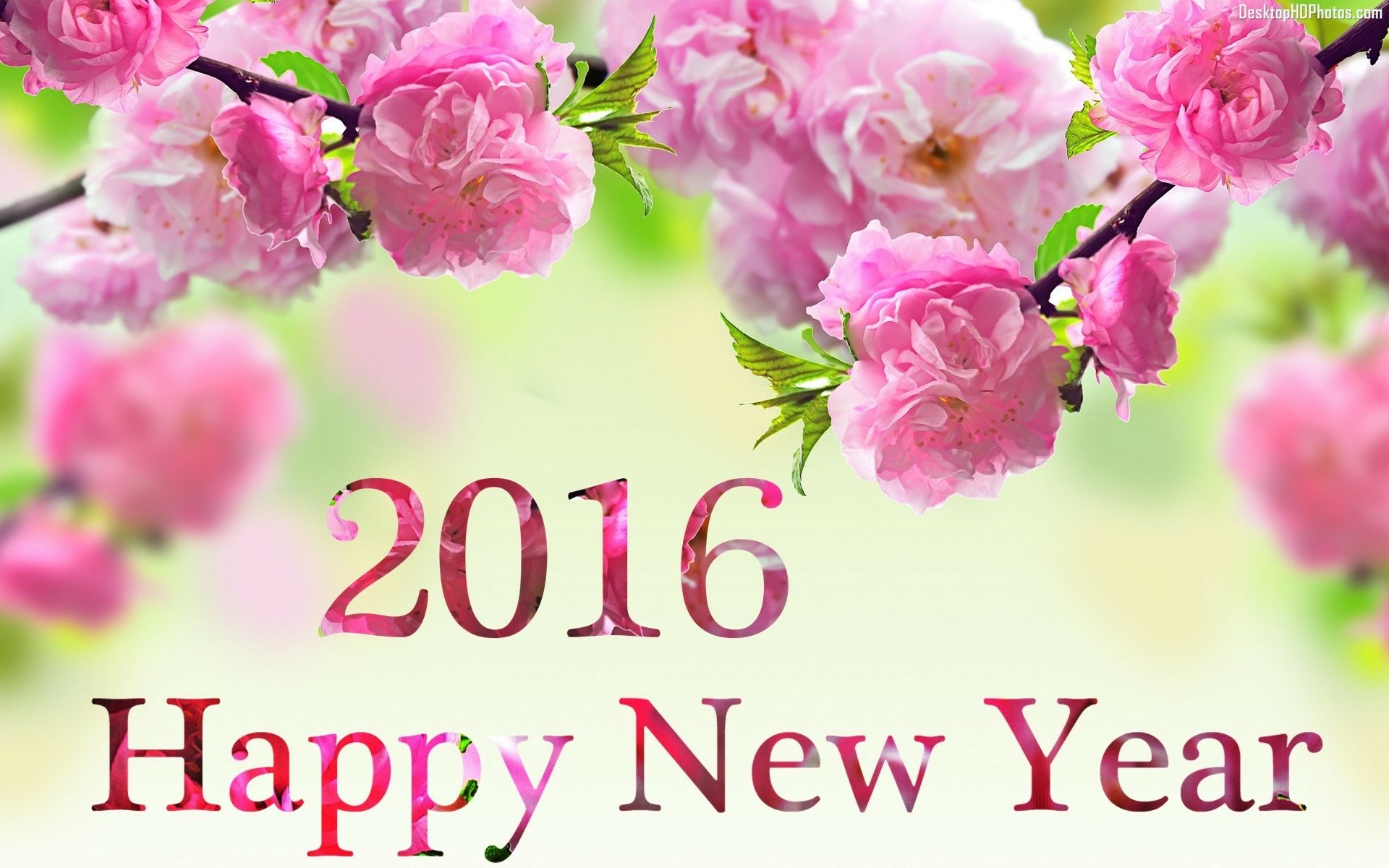 HD desktop wallpaper featuring vibrant pink blossoms with 2016 Happy New Year text, celebrating the New Year holiday in a fresh, festive style.