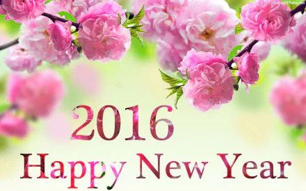 HD desktop wallpaper featuring vibrant pink blossoms with 2016 Happy New Year text, celebrating the New Year holiday in a fresh, festive style.