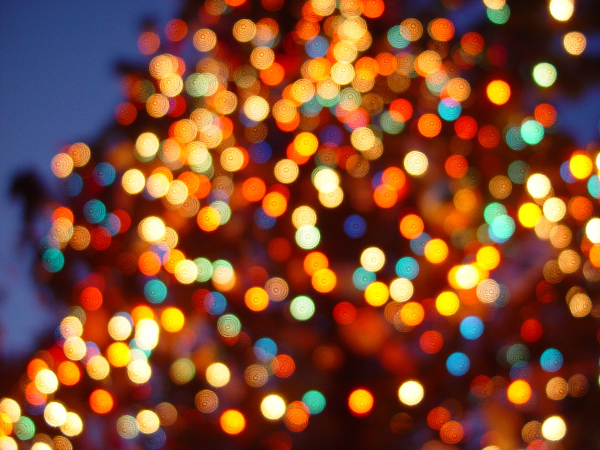 Download Bokeh Christmas Lights Holiday Christmas HD Wallpaper