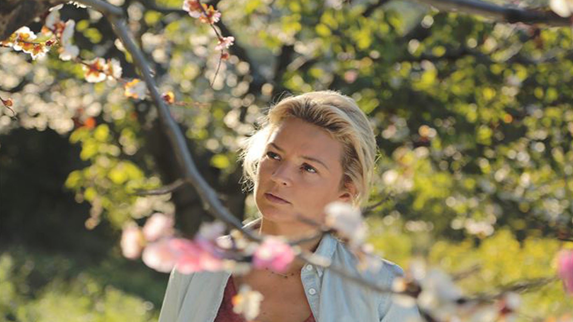 Download Movie Le Goût Des Merveilles HD Wallpaper