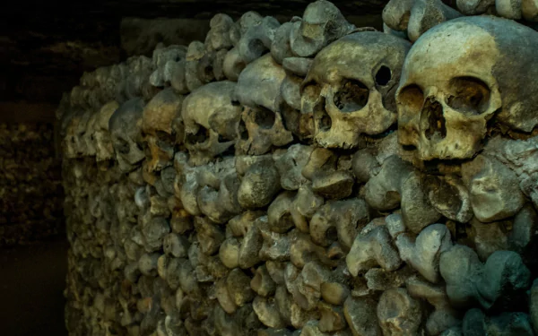 skull movie As Above, So Below HD Desktop Wallpaper | Background Image