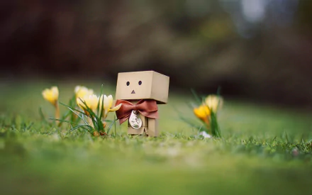 HD desktop wallpaper featuring a small danbo figure with a red bow among blooming yellow crocus flowers in a grassy field.