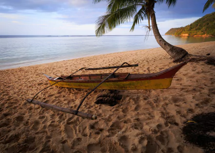 Philippines palm tree sand water seascape ocean beach vehicle canoe HD Desktop Wallpaper | Background Image
