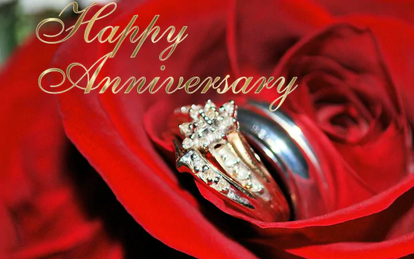 wedding love rose ring holiday anniversary HD Desktop Wallpaper | Background Image