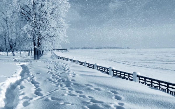 Snow-covered landscape with a tree-lined path, fresh footprints in the snow, and gentle snowfall, captured in HD winter photography for a serene desktop wallpaper.