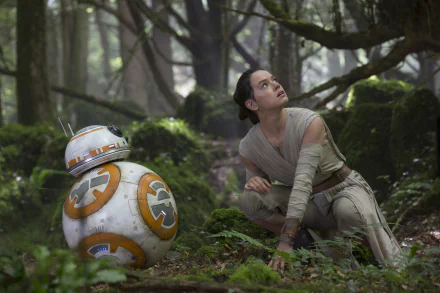 Rey and BB-8 in a forest scene from Star Wars Episode VII: The Force Awakens. Rey, played by Daisy Ridley, crouches beside BB-8 on a mossy forest floor. HD wallpaper and background.