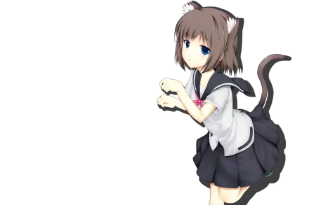HD desktop wallpaper featuring Toki Onjouji from the anime Saki, depicted with cat ears and tail, dressed in a school uniform, against a plain background.