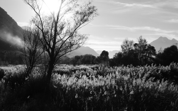 Photography Black & White Field HD Wallpaper | Background Image