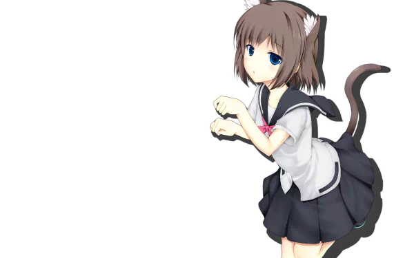 HD desktop wallpaper featuring Toki Onjouji from the anime Saki, depicted with cat ears and tail, dressed in a school uniform, against a plain background.