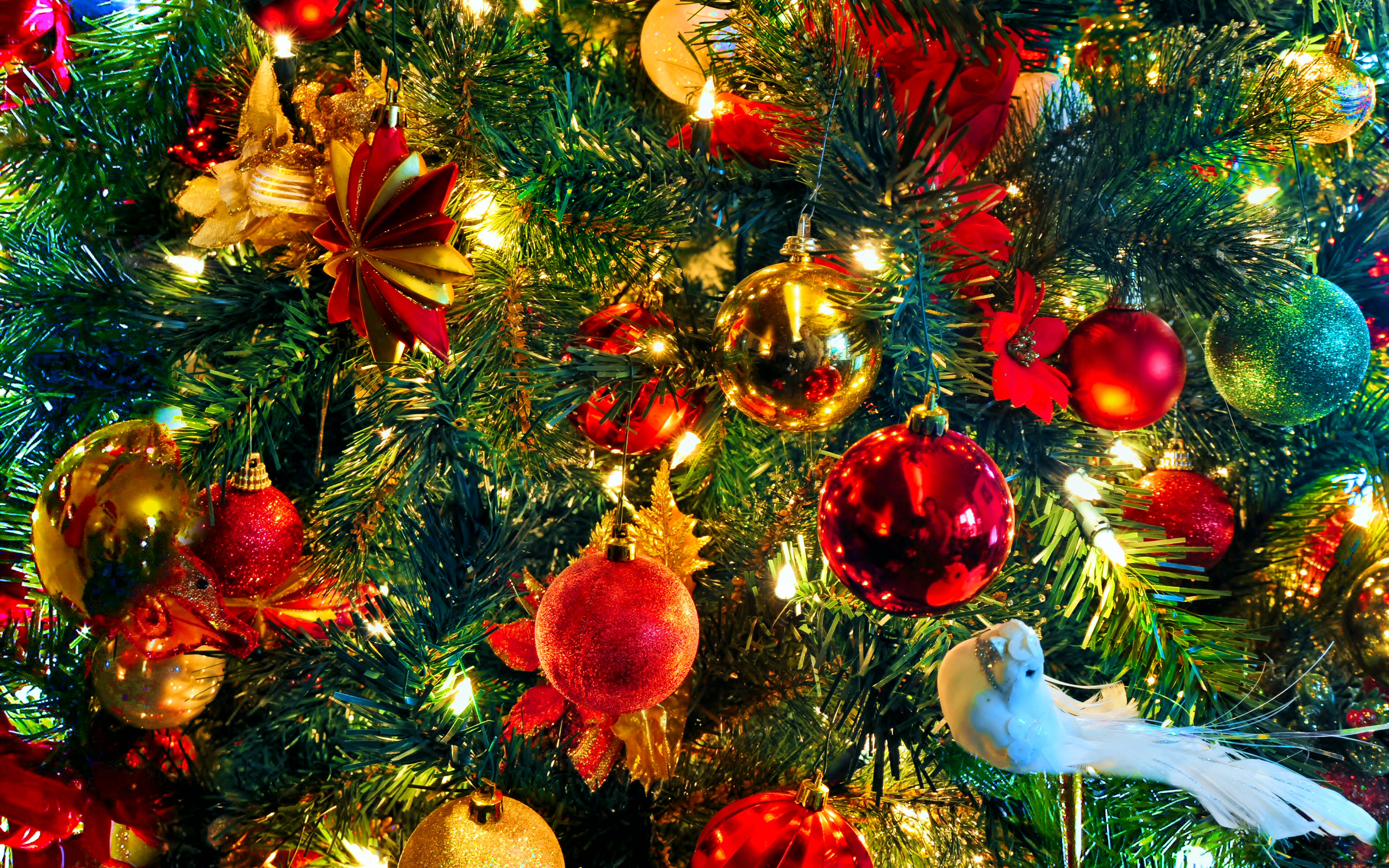 Blue Holiday Star On Christmas Tree, Big Christmas Tree, HD wallpaper |  Peakpx