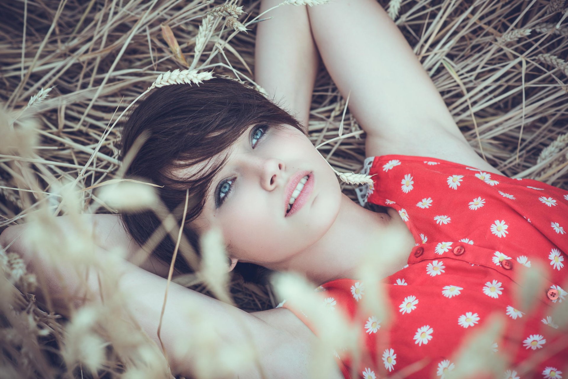 HD desktop wallpaper of a woman model in a red dress with white flowers, lying in a field of dry grass, looking pensive.