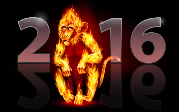 HD PC desktop wallpaper featuring a fiery monkey between the numbers 2016, celebrating the New Year holiday.