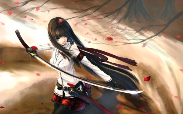 Anime Original Woman Warrior Sword Petal Long Hair Black Hair HD Wallpaper | Background Image