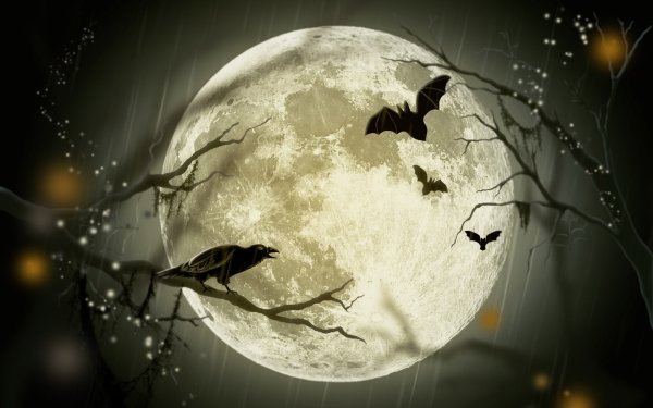 Holiday Halloween Crow Bird Bat Moon HD Wallpaper | Background Image