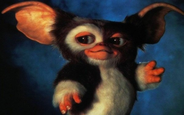 10+ Gremlins 2: The New Batch HD Wallpapers | Background Images