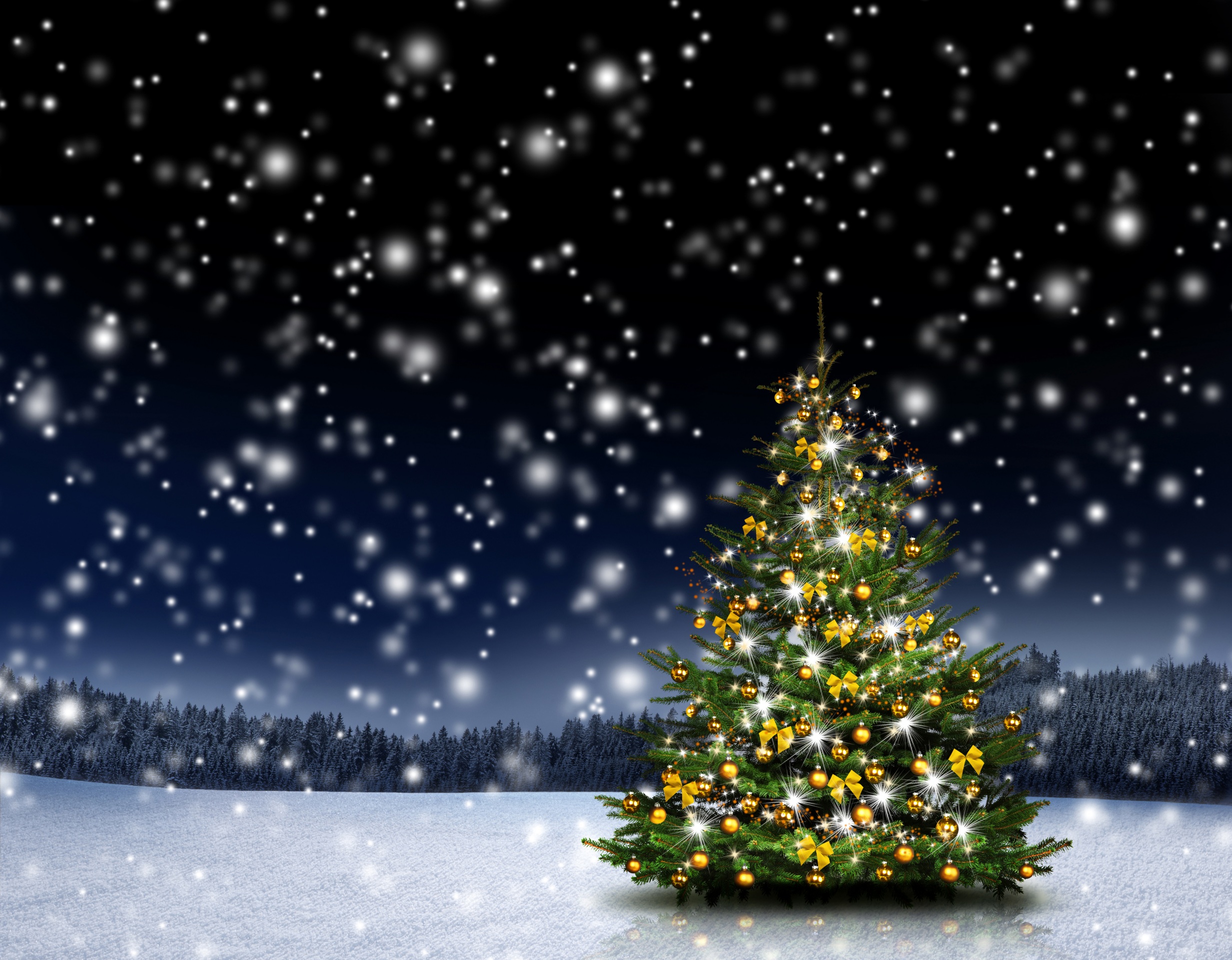 Christmas Tree in the Snow Full HD Wallpaper and Background Image