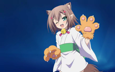 A vibrant HD desktop wallpaper featuring Hideyoshi Kinoshita from Baka and Test, showcasing her with animal ears, green eyes, and playful paw gloves.