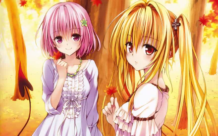 Anime characters Momo Velia Deviluke and Golden Darkness from To Love-Ru are depicted in this HD wallpaper, smiling with autumn leaves around them. Momo has pink hair, while Golden Darkness has golden hair.