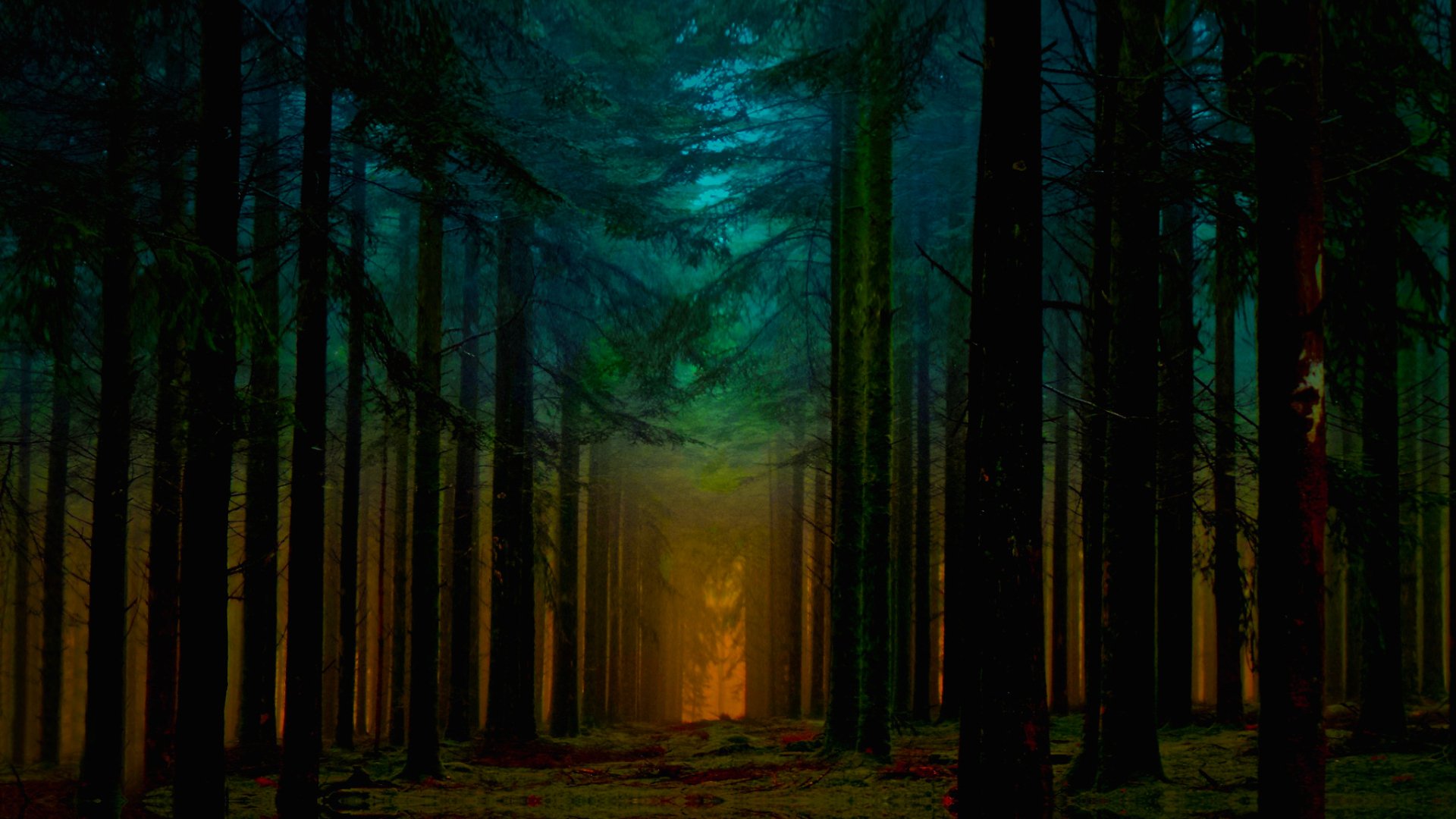 Forest at Dawn 高清壁纸 | 桌面背景 | 2048x1152 | ID:673642 - Wallpaper Abyss