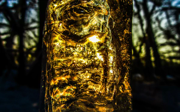 nature ice HD Desktop Wallpaper | Background Image