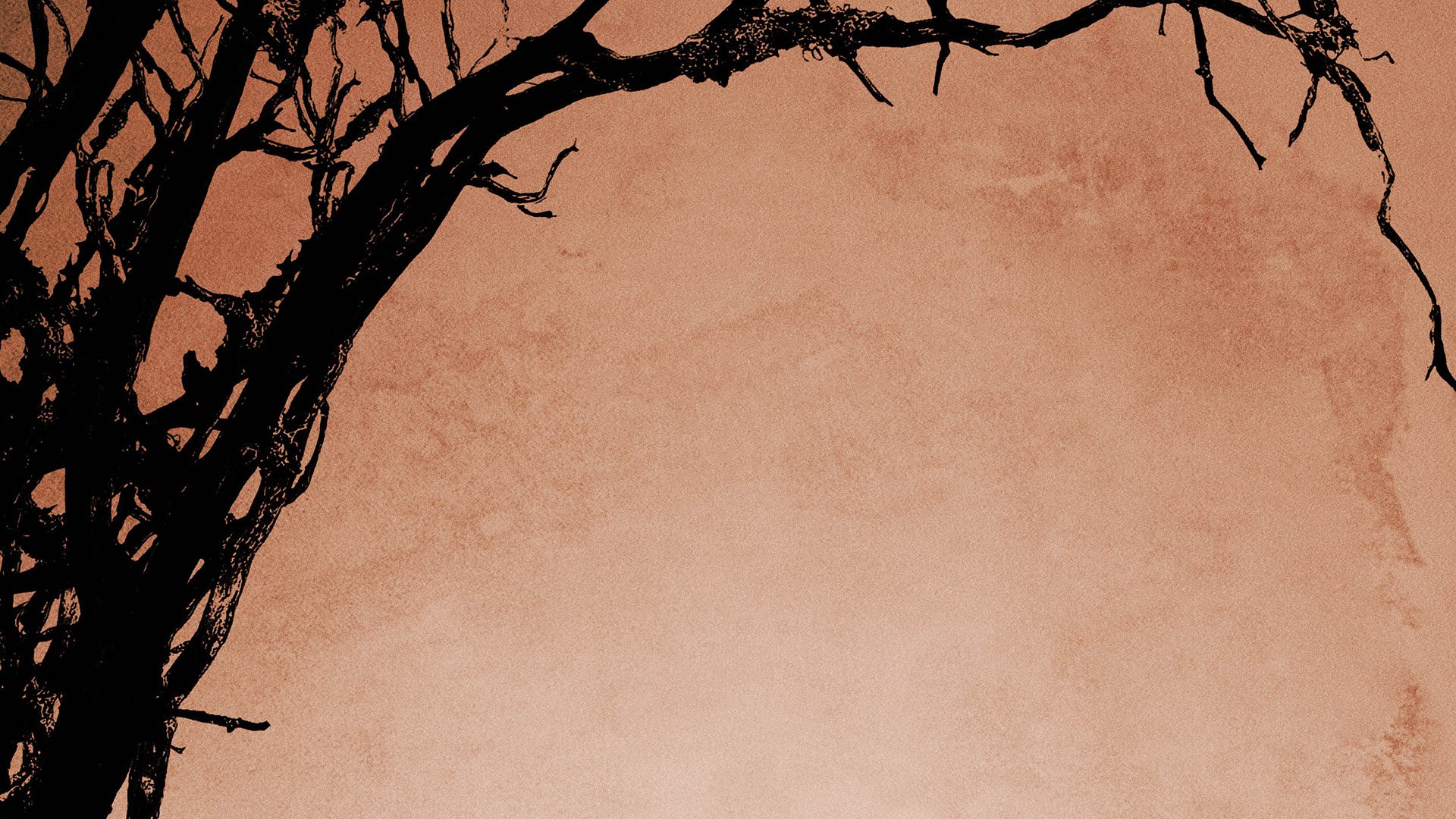 Download Movie 12 Years A Slave HD Wallpaper