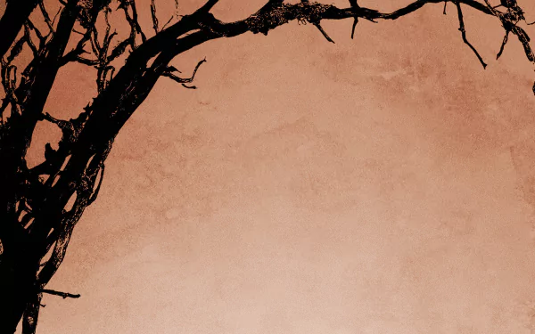 movie 12 years a slave HD Desktop Wallpaper | Background Image